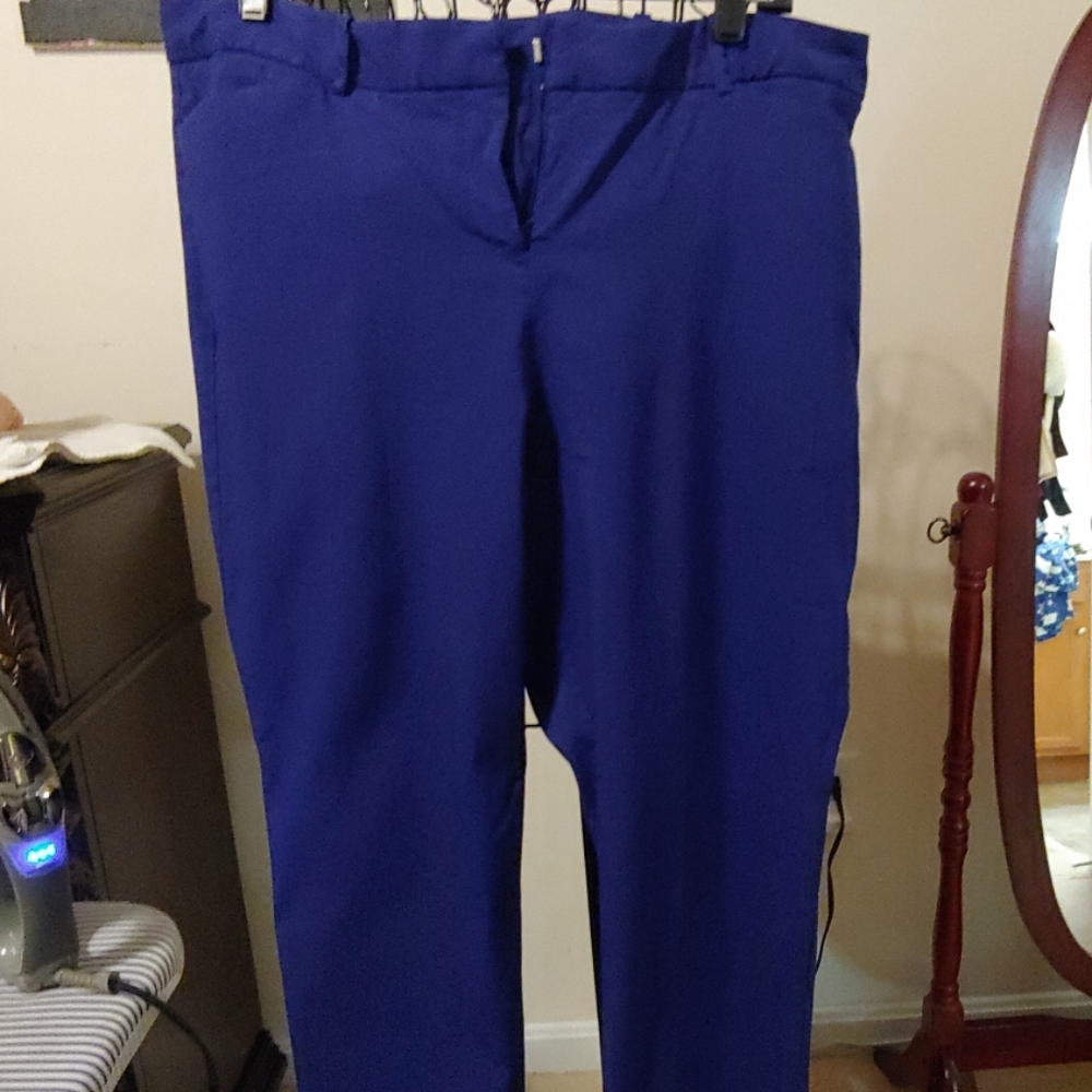 Royal Blue Ankle Pants